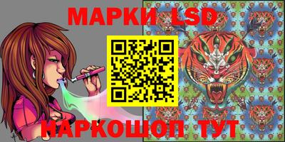 спиды Новозыбков
