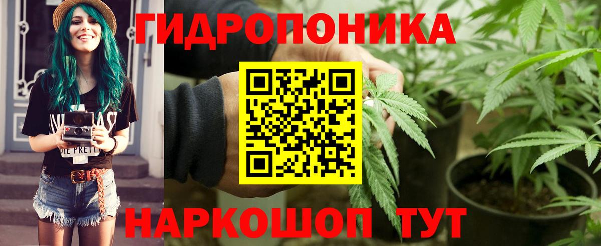 Сыктывкар  МАРИХУАНА White Widow  Бошки марихуана марихуана  Вход с VPN  МАРИХУАНА планчик 
